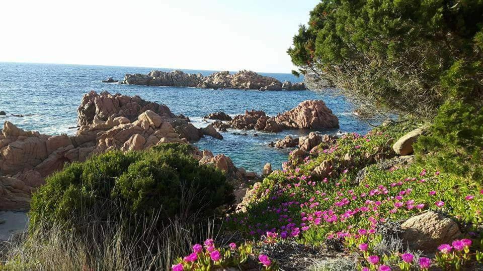 Casa Vacanze Villa Sandrina Costa Paradiso Exterior photo